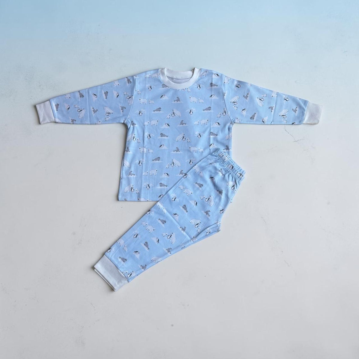 Pijama Longo Estampa Polar em Algodão Pima Peruano